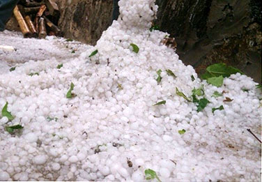 Mưa đá bằng quả chanh đổ xuống Tủa Chùa, Điện Biên