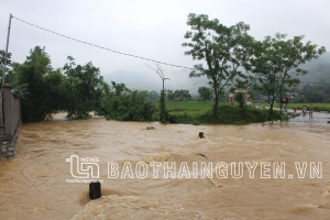 Võ Nhai: Mưa lớn gây ngập úng cục bộ