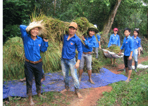 Tuần lễ Chung tay mùa gặt