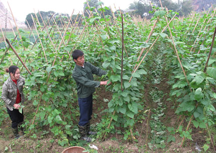 Nguồn sinh lực mới cho Đảng