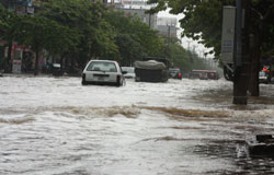 Mưa lớn gây ngập nhiều tuyến đường và ảnh hưởng đến lúa mùa