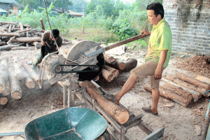 Mất an toàn lao động tại các cơ sở chế biến lâm sản