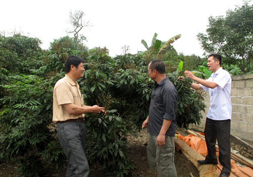 Chuyển giao KHCN tại các xã xây dựng nông thôn mới