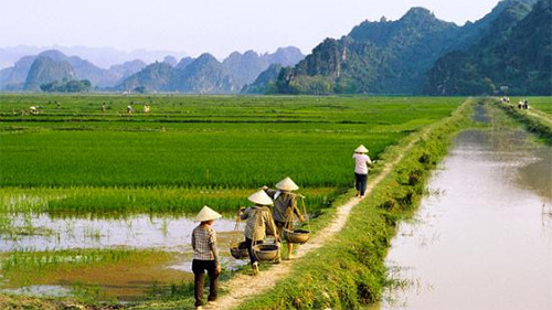 Đừng để nông dân chèo xuồng ba lá ra biển lớn
