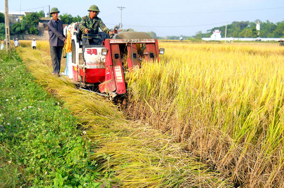 Tạo bước chuyển mạnh trong xây dựng nông thôn mới