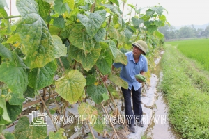 Để nông sản an toàn đến tay người tiêu dùng