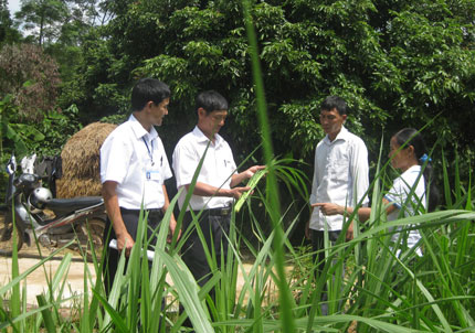 Gom “giọt nước” để làm vơi cơn khát