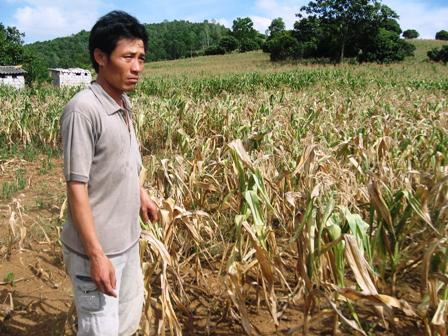 Nắng nóng sẽ gia tăng trở lại vào ngày 1-6