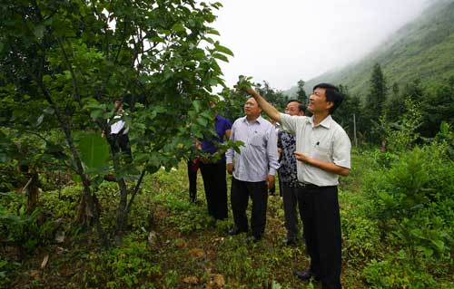 Xây dựng nông thôn mới - Kinh nghiệm từ Hà Giang
