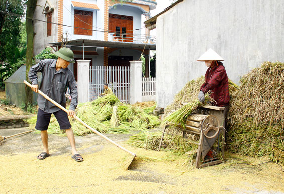 Nông dân xã Linh Sơn (Đồng Hỷ) phơi thóc, bảo quản lúa xuân.