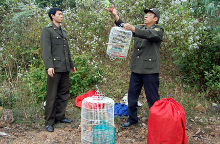 Thả động vật hoang dã về rừng