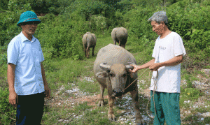 Về Phúc Tân thăm "Ngôi làng hy vọng"