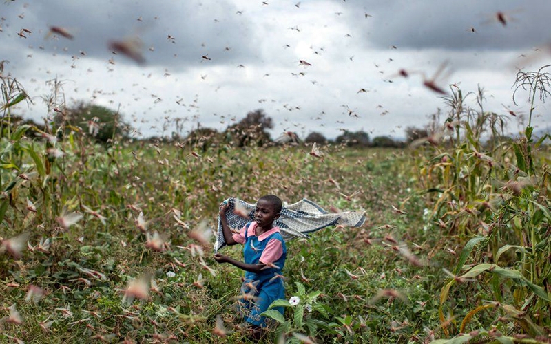 “Cơn ác mộng” của Ðông Phi