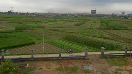 Đảm bảo chất lượng và tiến độ quy hoạch nông thôn mới.