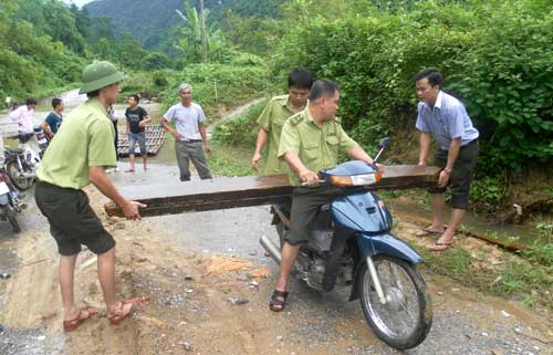 Xử lý 65 vụ vi phạm Luật Bảo vệ và Phát triển rừng