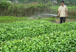 Khẳng định một hướng đi