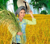 Phát sóng Kênh truyền hình nông nghiệp – nông thôn