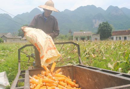 Khi nghị quyết của Đảng gắn với cuộc sống