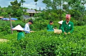 “Chắp cánh” cho phong trào khởi nghiệp 