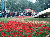 Đối ngoại Việt Nam 2010: Sôi động và nhiều thử thách