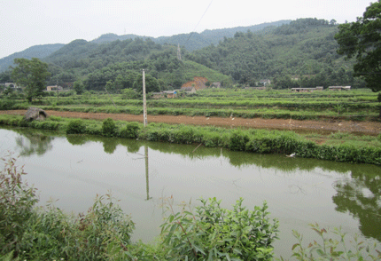 Lúng túng trong đào tạo nghề cho lao động nông thôn ở Tân Thái