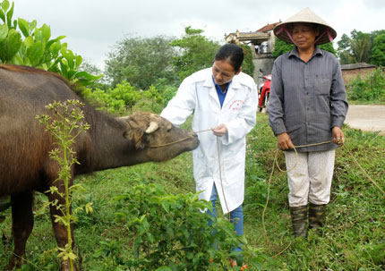Giúp người dân có chiếc “cần câu”