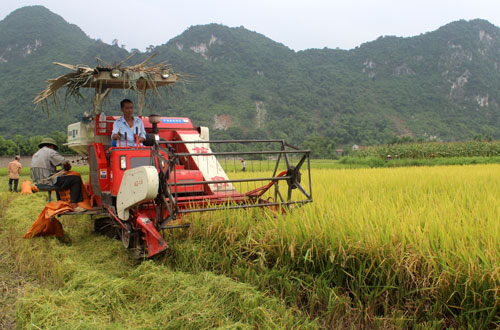 Chăm lo đời sống đồng bào