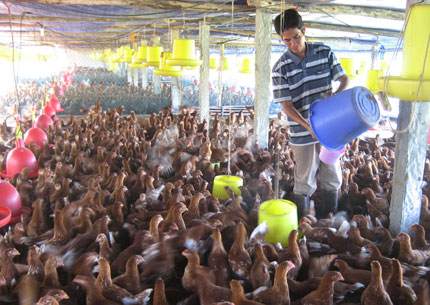 Đóng góp của vốn ngân hàng vào sự chuyển dịch cơ cấu kinh tế nông nghiệp, nông thôn