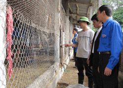 Đánh giá chương trình quỹ Quốc gia về việc làm