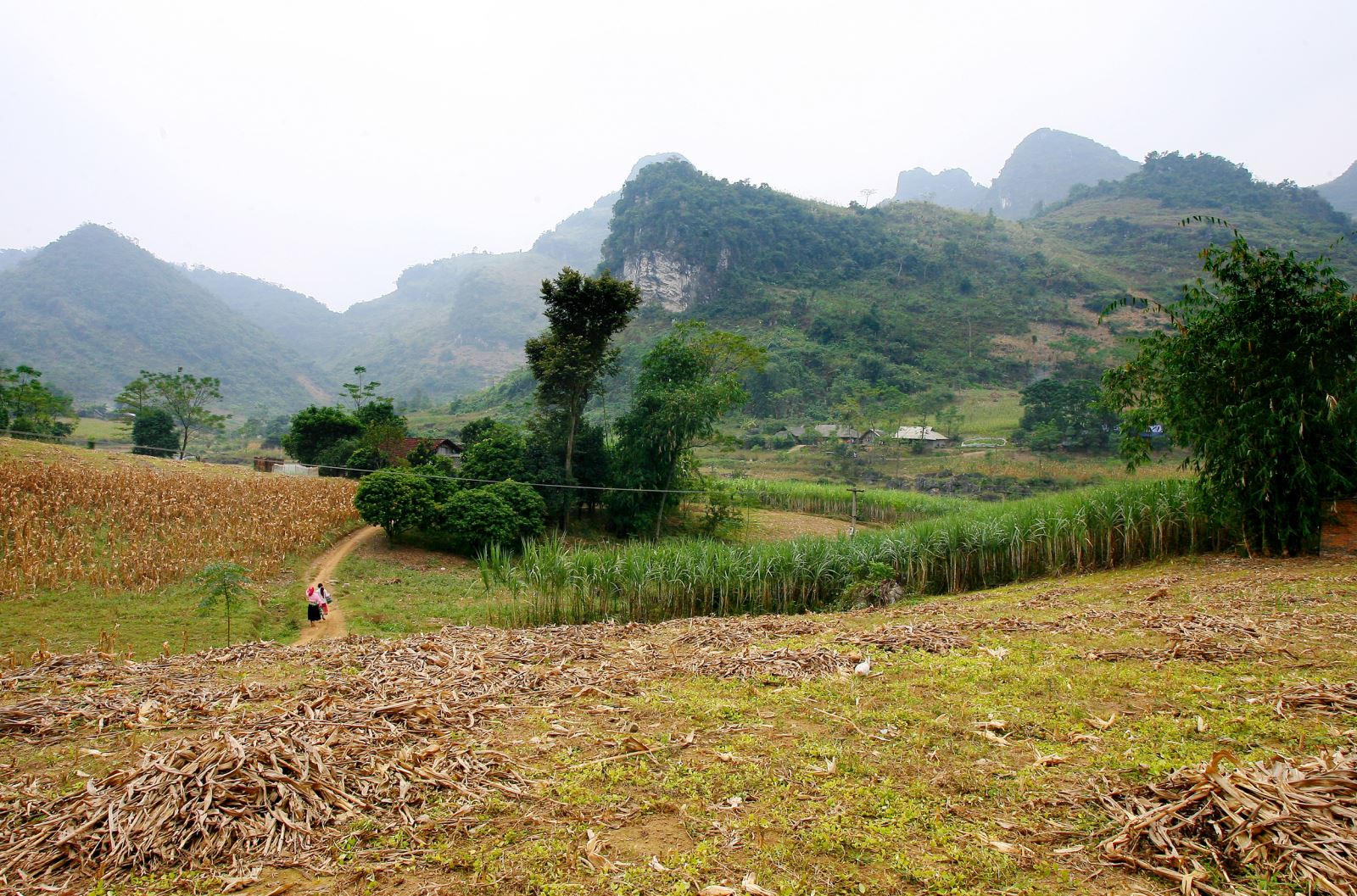 Phấn đấu 2025 cơ bản không còn tình trạng dân di cư tự do