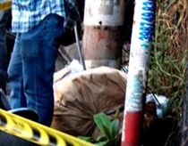 Truy lùng nghi phạm sát hại cô giáo