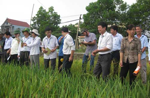 Luôn "sát cánh" cùng nông dân
