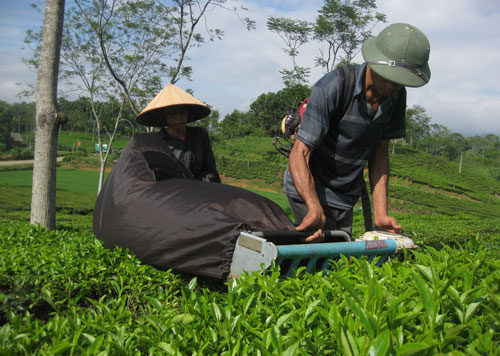 Trăn trở một vùng quê
