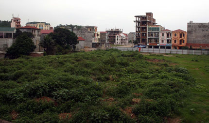 Thực hiện Luật Đất đai: Nhiều doanh nghiệp vi phạm