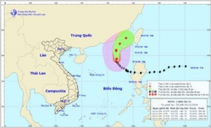 Bão số 7 giật cấp 12 di chuyển theo hướng Bắc