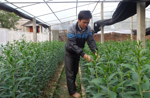 Ghi ở làng văn hóa Núi Hai