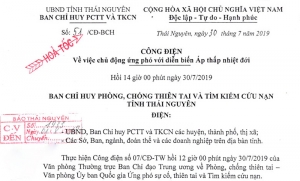 Công điện về việc chủ động ứng phó với diễn biến Áp thấp nhiệt đới