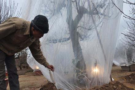 Bão số 1 suy yếu thành áp thấp nhiệt đới