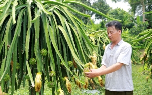 Thái Nguyên có 50 thôn đặc biệt khó khăn