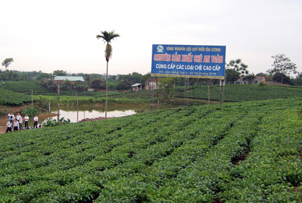 Gặp người làm nên thương hiệu nổi tiếng ASEAN