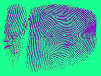 Làm ''hiện hình'' dấu vân tay đã bị xóa