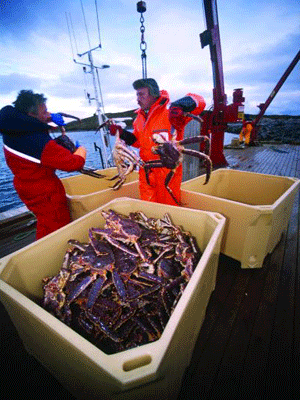 Nga tạm ngừng nhập thủy, hải sản của 3 DN VN