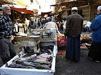 Iraq phục chức cho thành viên đảng của Saddam Hussein
