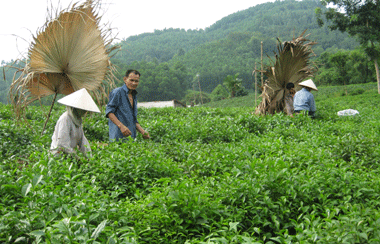 Yên Lạc sau nửa nhiệm kỳ thực hiện nghị quyết