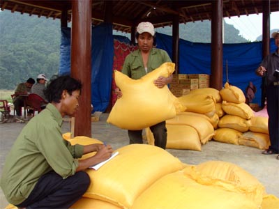 Nghiêm cấm các tổ chức, cá nhân không có chức năng kinh doanh lương thực đầu cơ lúa, gạo
