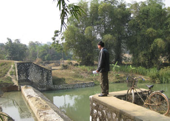 Chủ động phòng chống rét cho mạ
