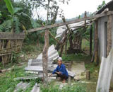 Voi lại tấn công người, phá nhà