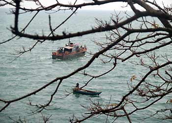 Xuân về trên hải đảo cực nam Tổ quốc