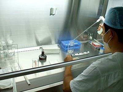 Nuôi cấy thành công bước đầu giác mạc từ tế bào gốc