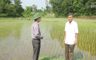 Người dân Tân Cương tự dồn điền đổi thửa